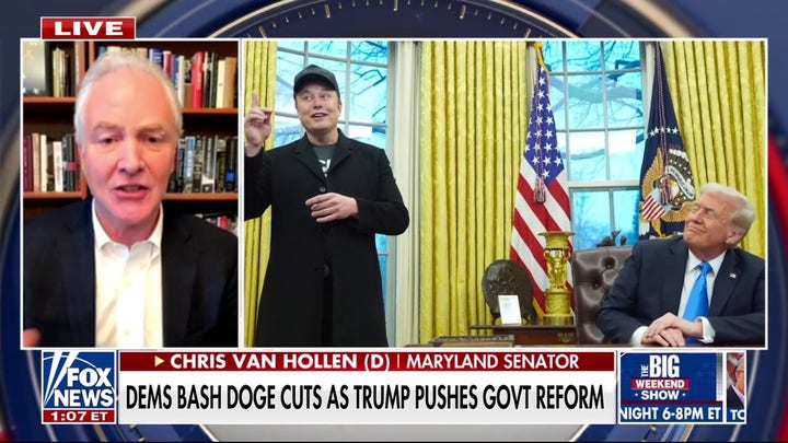 Dem senator slams Musk over DOGE reforms: