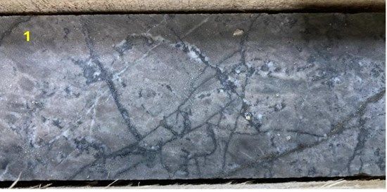 Cannot view this image? Visit: https://images.newsfilecorp.com/files/5685/251260_d0b183a384f7ba3f_012.jpg