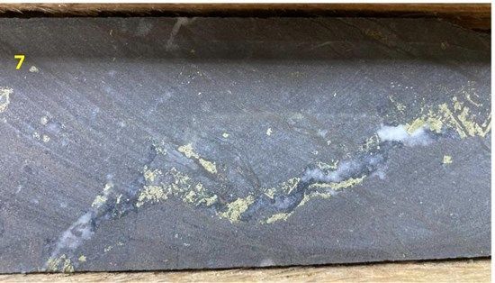 Cannot view this image? Visit: https://images.newsfilecorp.com/files/5685/251260_d0b183a384f7ba3f_019.jpg