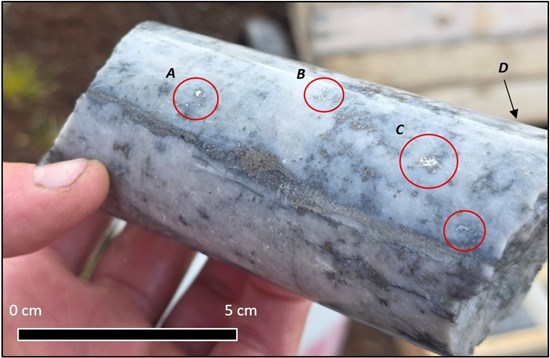 Cannot view this image? Visit: https://goldenliontraders.com/wp-content/uploads/2025/10/268483_5f17bcd984538af8_001.jpg