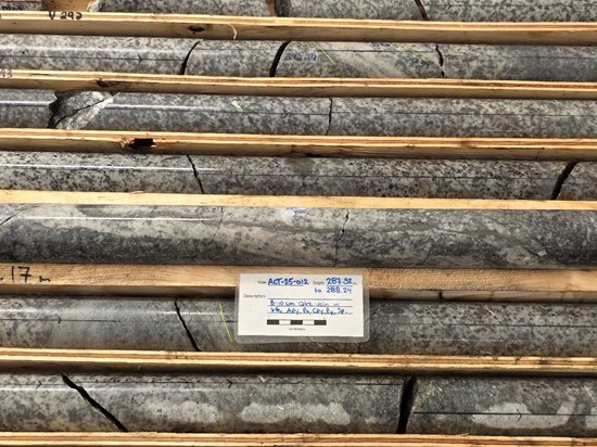 Cannot view this image? Visit: https://goldenliontraders.com/wp-content/uploads/2025/10/268483_5f17bcd984538af8_004.jpg