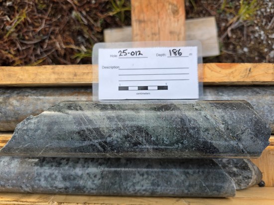 Cannot view this image? Visit: https://goldenliontraders.com/wp-content/uploads/2025/10/268483_5f17bcd984538af8_005.jpg