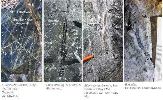 Cannot view this image? Visit: https://images.newsfilecorp.com/files/11347/268861_e6b48ffd5468a922_004.jpg