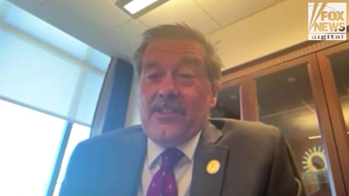 Virginia GOP leader sounds alarm on new left-wing era under Spanberger, amid ‘bad bills’, DHS iced out